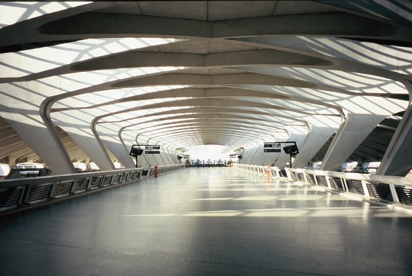 Snug Projects -Calatrava